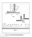 Fig. 02 - Methods and compositions for the Synthesis of RNA and DNA