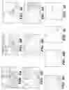 Fig. 06 - Methods for increasing capillary density and maintaining viability of microvascular cardiac endothelial cells using trk receptor ligands