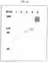 Fig. 07 - Pharmaceutical composition for treatment of immunological disorders