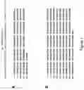 Fig. 02 - Sclerostin-binding antibody