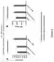 Fig. 07 - Sclerostin-binding antibody