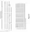 Fig. 09 - Sclerostin-binding antibody