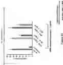 Fig. 24 - Sclerostin-binding antibody