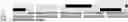 Fig. 35 - Sclerostin-binding antibody