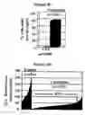 Fig. 07 - Centrosome proteins and uses thereof