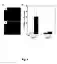 Fig. 05 - Compositions and methods for reducing infarct size