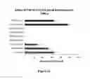 Fig. 13 - Fibroblast growth factor receptors and methods for their use
