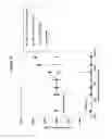 Fig. 17 - Fibroblast growth factor receptors and methods for their use