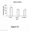 Fig. 33 - Fibroblast growth factor receptors and methods for their use