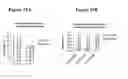 Fig. 34 - Fibroblast growth factor receptors and methods for their use