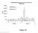 Fig. 36 - Fibroblast growth factor receptors and methods for their use