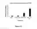 Fig. 42 - Fibroblast growth factor receptors and methods for their use