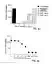 Fig. 04 - VASCULAR ENDOTHELIAL CELL GROWTH FACTOR ANTAGONISTS