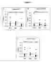 Fig. 02 - Method for inhibiting bacterial colonisation