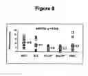 Fig. 09 - Method for inhibiting bacterial colonisation