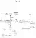 Fig. 03 - Methods