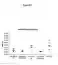 Fig. 30 - Methods