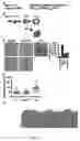 Fig. 02 - Methods and compositions targeting viral and cellular ITAM motifs, and use of same in identifying compounds with therapeutic activity