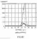 Fig. 09 - Methods and compositions targeting viral and cellular ITAM motifs, and use of same in identifying compounds with therapeutic activity