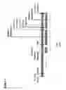 Fig. 02 - Protein purification means
