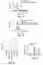 Fig. 02 - Apolipoprotein E as an adjuvant for lipid antigens
