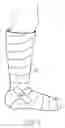 Fig. 05 - Methods and Compositions For Topical Wound Treatment