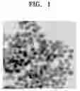Fig. 02 - METHOD OF COATING NANOPARTICLES