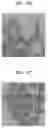 Fig. 08 - METHOD OF COATING NANOPARTICLES