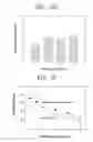 Fig. 06 - Sintered bioactive ceramic composite implant and preparation thereof