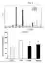 Fig. 04 - Composition comprising the alcohol compound isolated from the extract of cucurbitaceae family plant having anti-adipogenic and anti-obesity activity