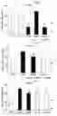 Fig. 05 - Composition comprising the alcohol compound isolated from the extract of cucurbitaceae family plant having anti-adipogenic and anti-obesity activity