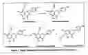Fig. 02 - Method for the production of enriched hop extracts having combined oestrogenic and antiproliferative bioactivity