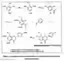 Fig. 05 - Method for the production of enriched hop extracts having combined oestrogenic and antiproliferative bioactivity