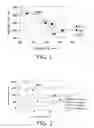 Fig. 02 - Method of improving properties of starch-containing food and property-improving agent
