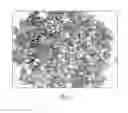 Fig. 11 - System and method for extracting materials from biomass