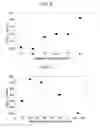 Fig. 09 - Alignment Film, Method of Forming the Same, and Liquid Crystal Display Including the Same