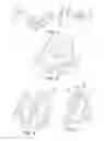 Fig. 02 - HOOK FIBER
