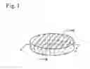 Fig. 02 - Anisotropic diffusing medium and production method therefor