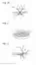 Fig. 08 - Anisotropic diffusing medium and production method therefor