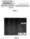 Fig. 02 - Three-dimensional gels that have microscale features