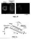 Fig. 09 - Three-dimensional gels that have microscale features