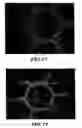 Fig. 12 - Three-dimensional gels that have microscale features
