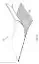 Fig. 06 - Print medium with one side defined by a rib-like structure