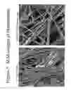 Fig. 02 - Fiber mat and process of making same