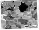 Fig. 01 - Polymer hollow particles with controllable holes in their surfaces