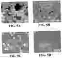 Fig. 06 - Polymer hollow particles with controllable holes in their surfaces