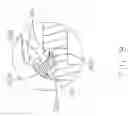 Fig. 09 - BATTERY COVER LATCHING ASSEMBLY FOR PORTABLE ELECTRONIC DEVICE