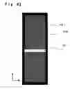 Fig. 37 - LIGHT REFLECTIVE STRUCTURE, METHOD FOR PRODUCING THE SAME AND DISPLAY