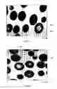 Fig. 06 - Toner and two-component developer