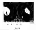 Fig. 08 - Toner and two-component developer